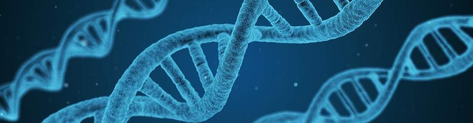 Ciencia en el año 990